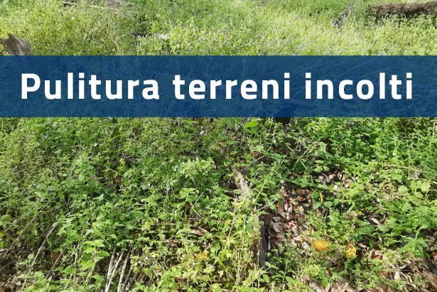 pulitura terreni e fosse