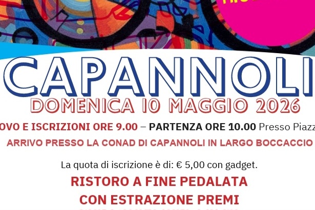 Bicincittà