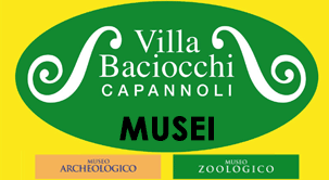 Musei di Villa Baciocchi